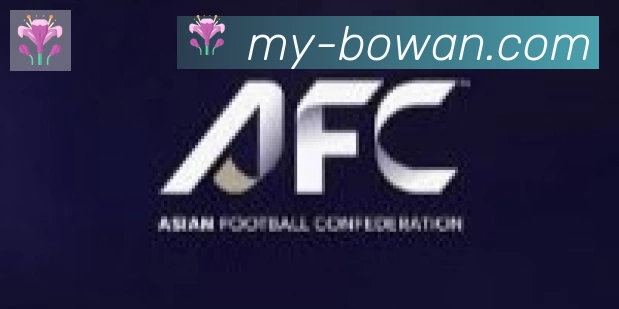 博万体育合作伙伴